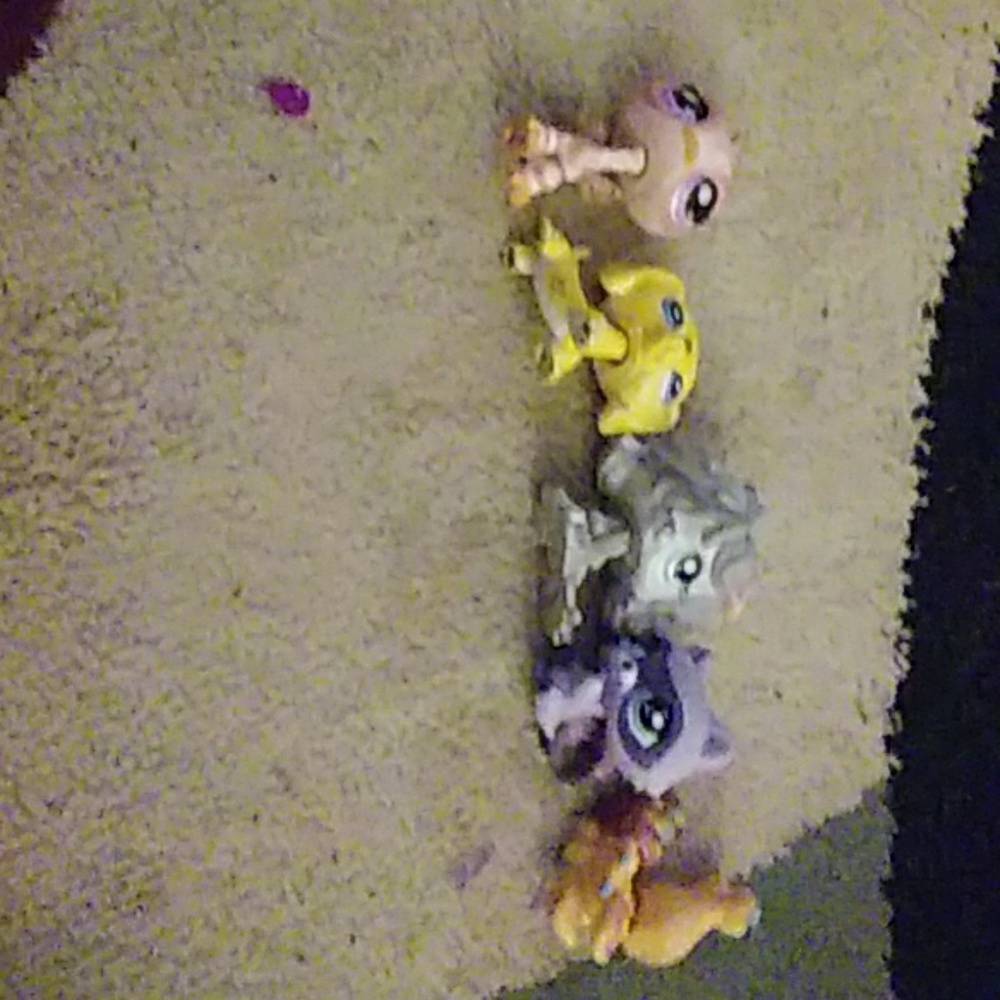 Lps 5 set